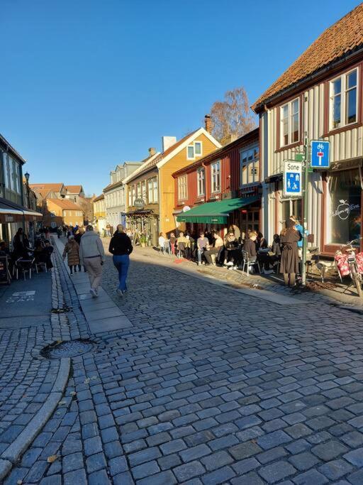 Hidden Gem Near The Old Town Bridge, 40M² Apt. Trondheim Exteriér fotografie